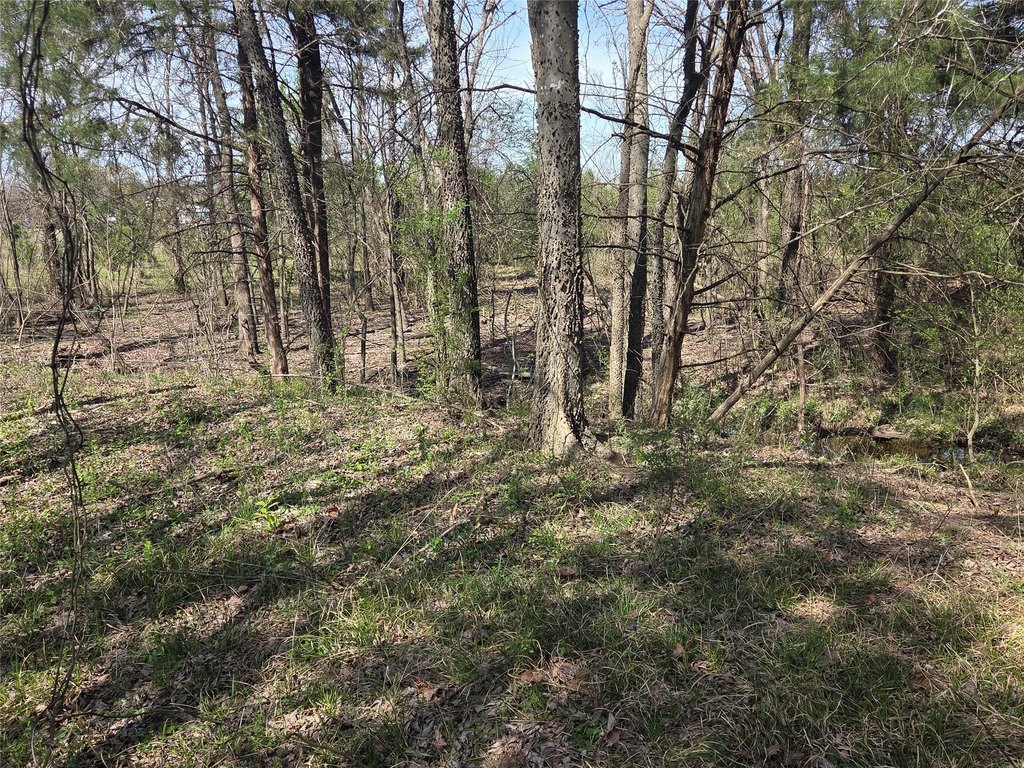 Picture 15