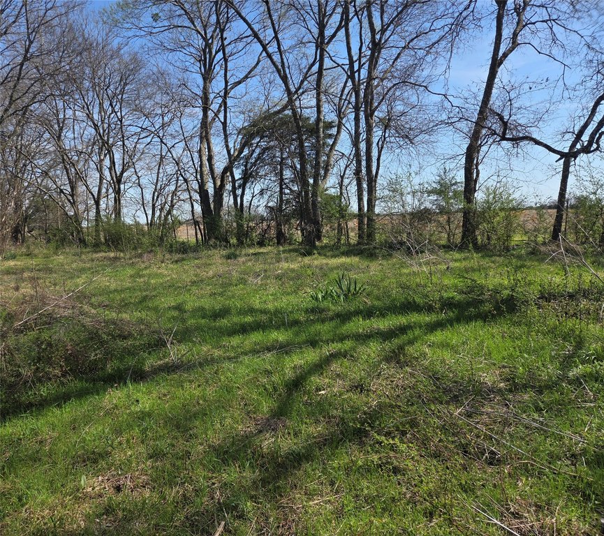 Picture 6