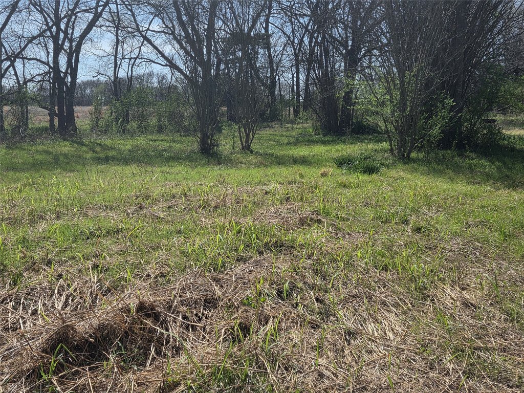 Picture 12