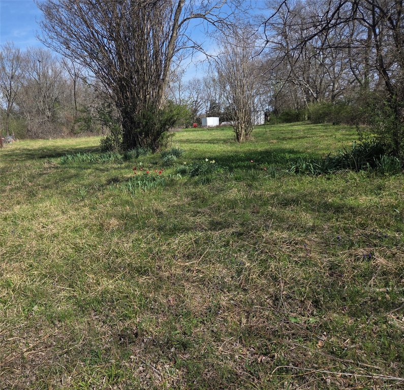 Picture 9