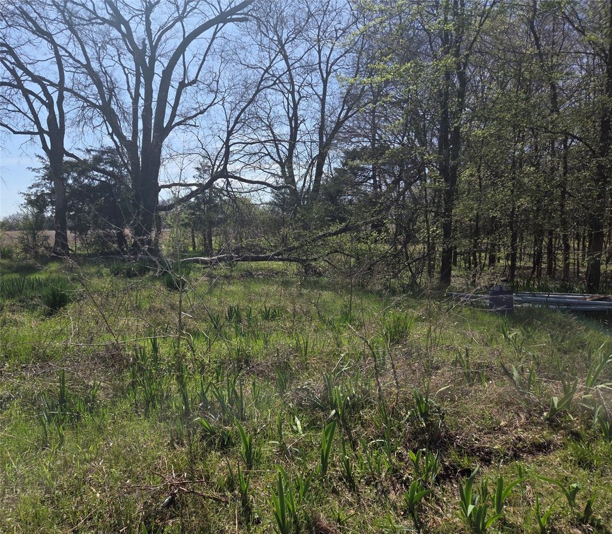 Picture 5