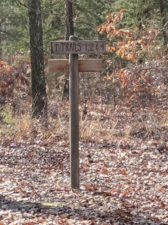 Picture 33