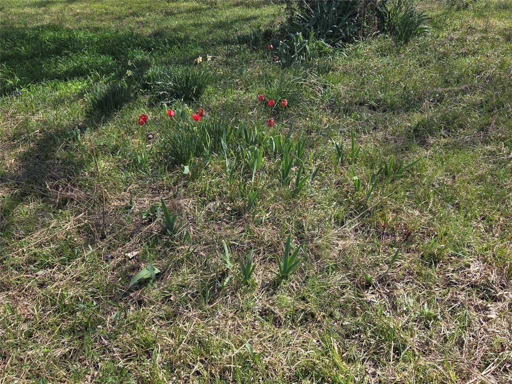 Picture 19