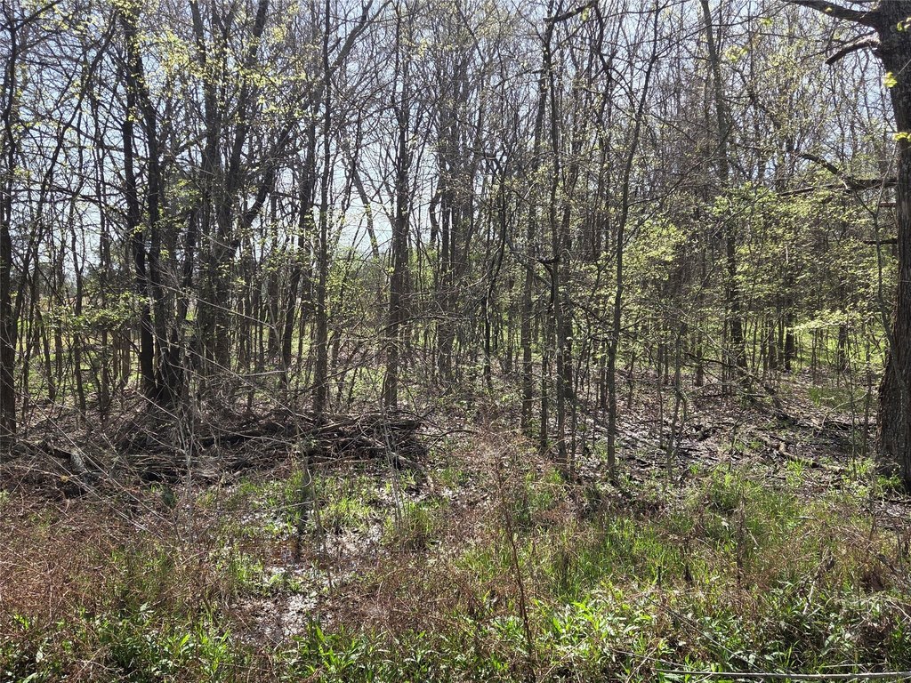 Picture 21