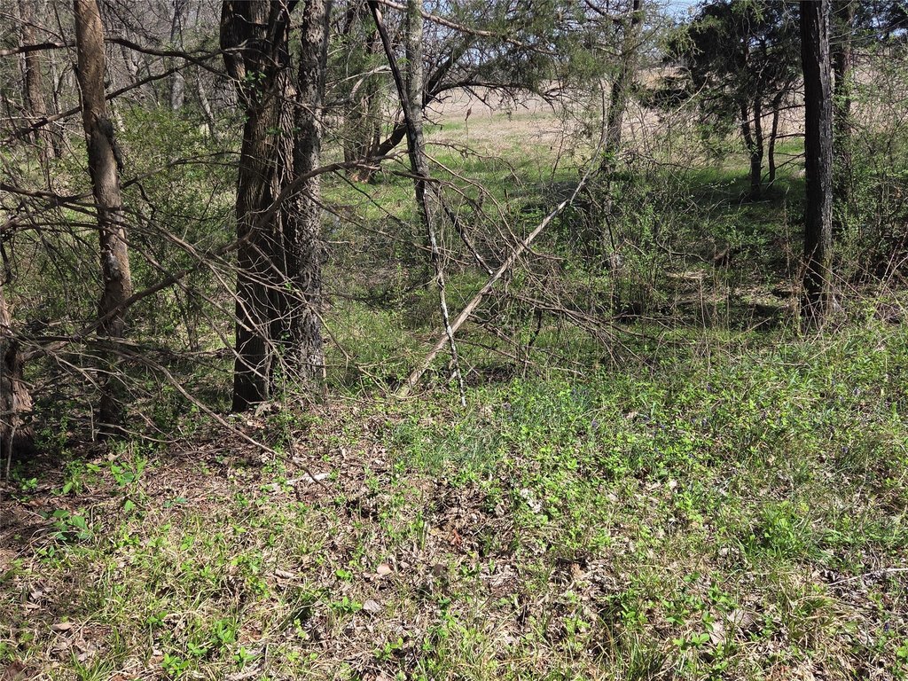 Picture 16