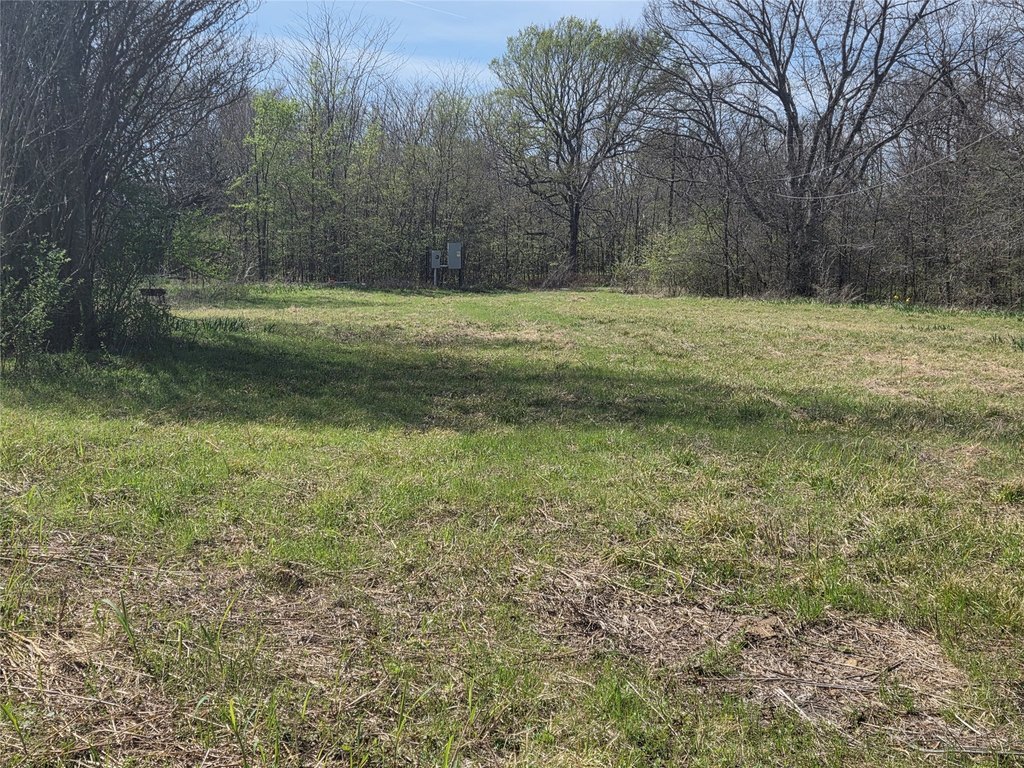 Picture 13
