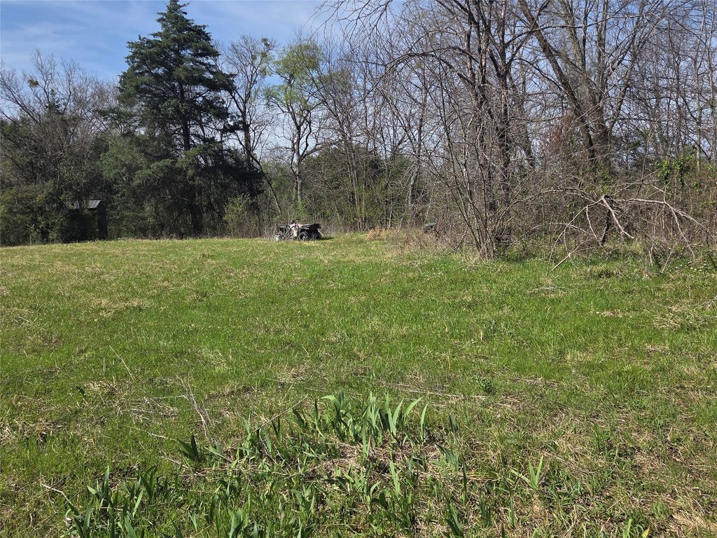 Picture 18