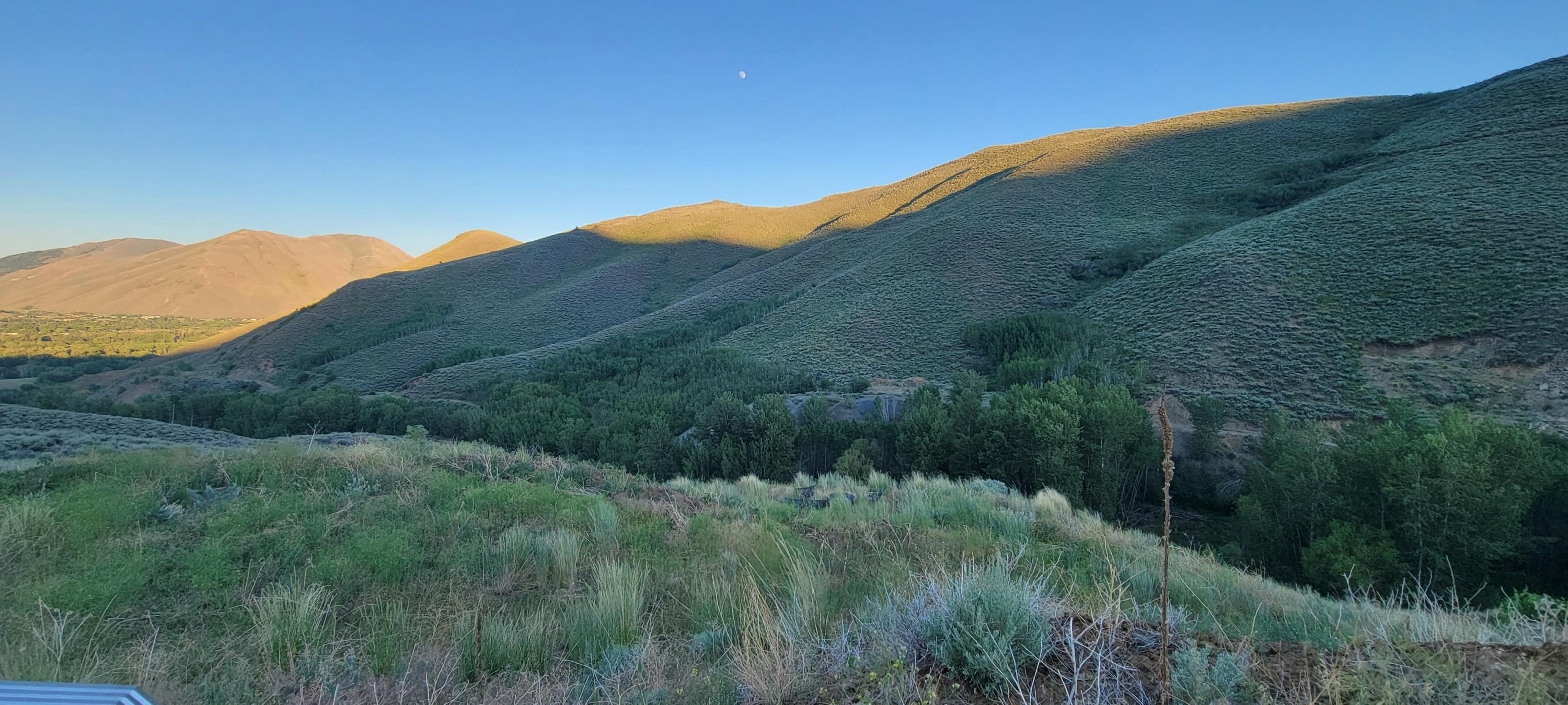 Idaho Land with Water Rights