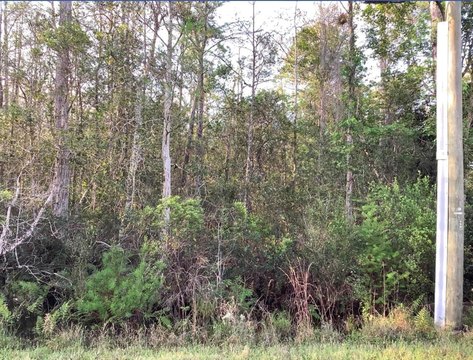 Vacant Residential Lot