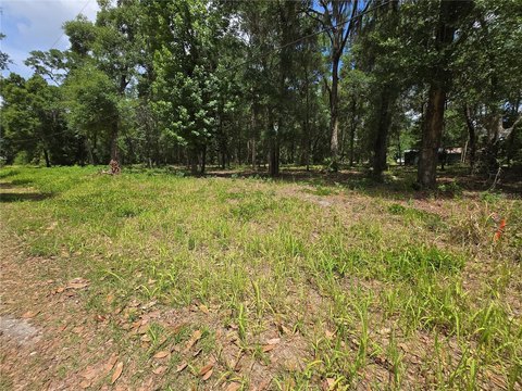 Vacant Land in Growing Ocala