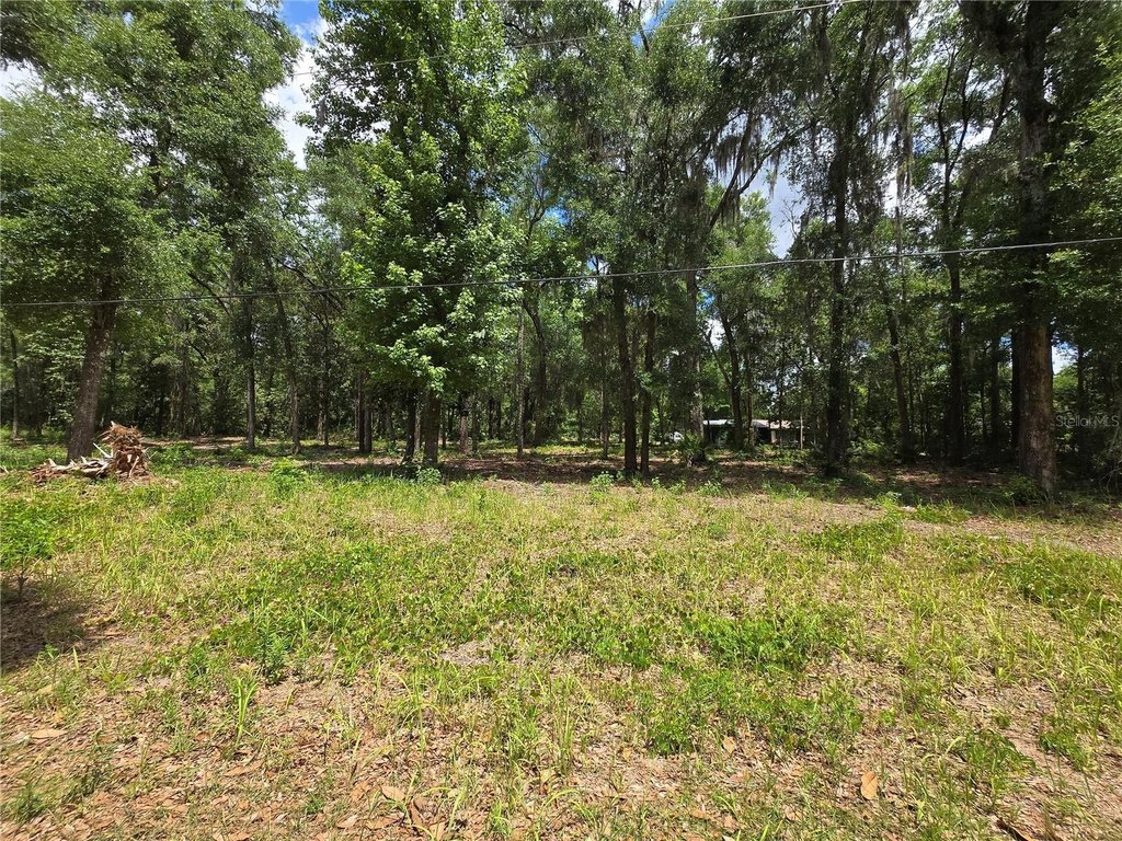 Picture 5