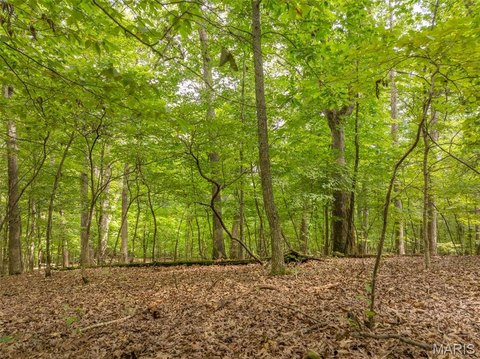 LAND - Innsbrook, MO
