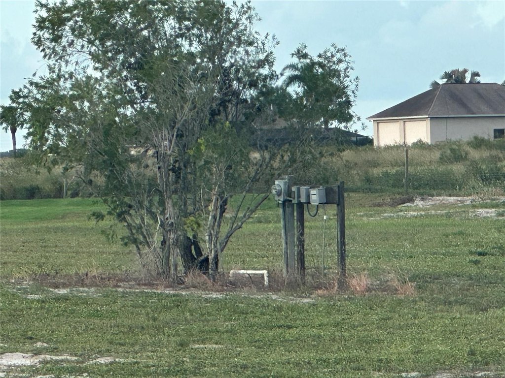 Picture 3