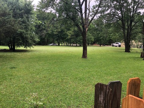 Flat Partially Wooded Lake-Adjacent Lot