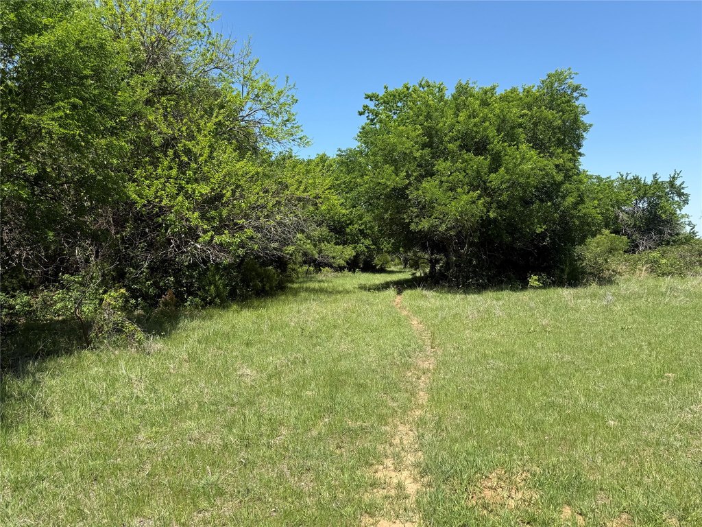 Picture 4