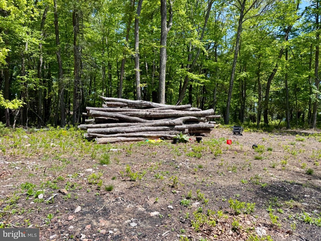 Picture 18