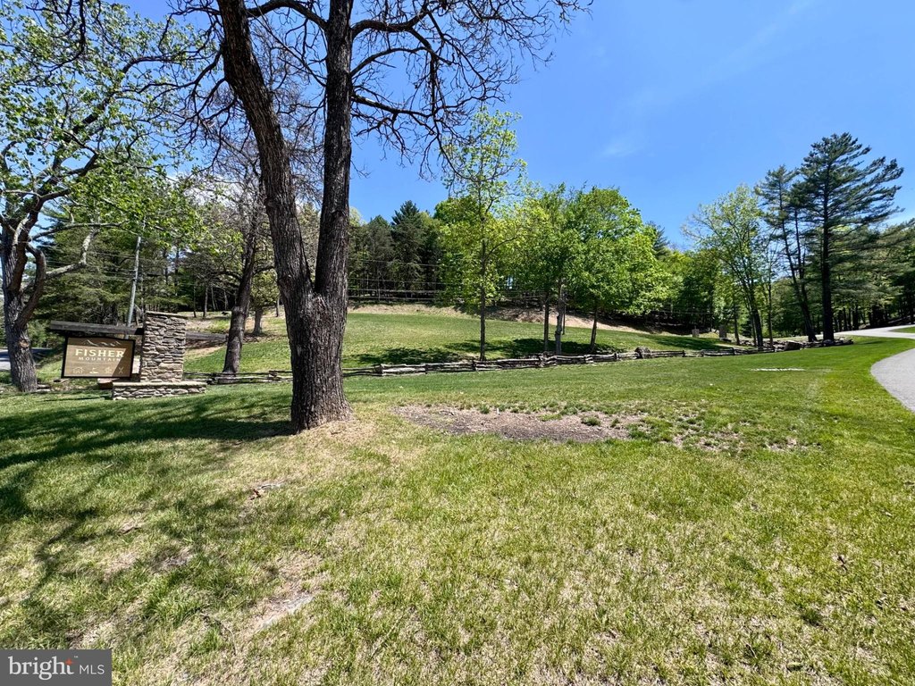 Picture 20