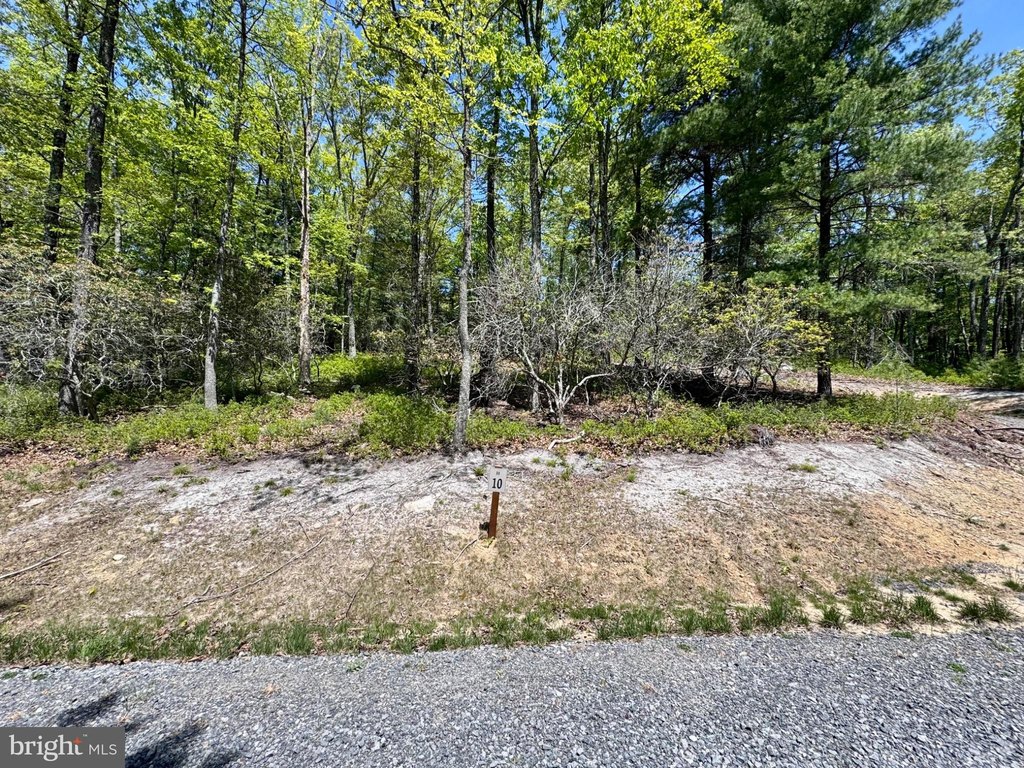 Picture 12