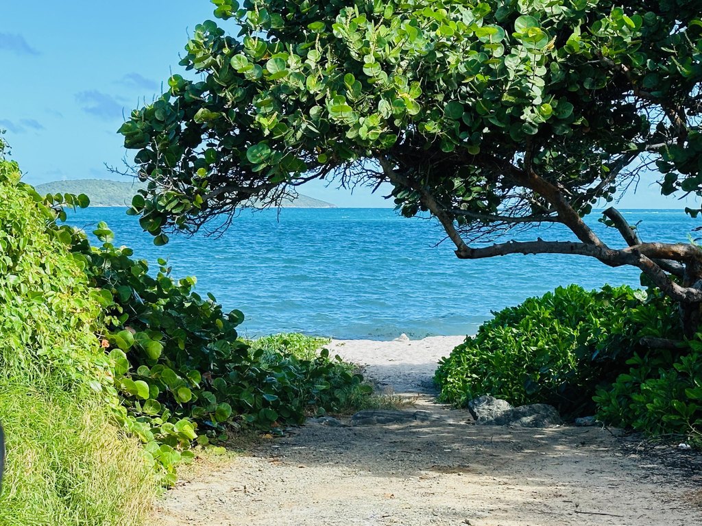 Picture 26