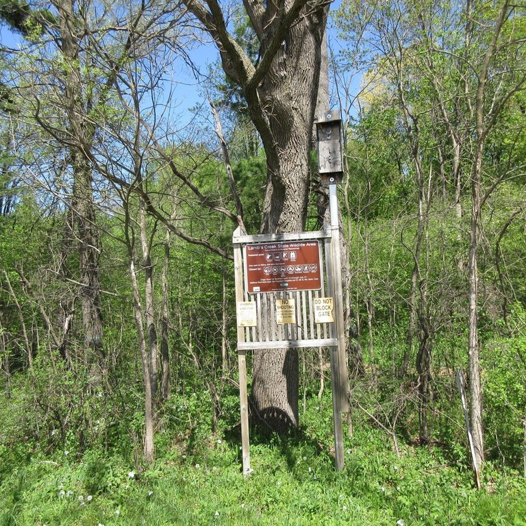 Picture 7