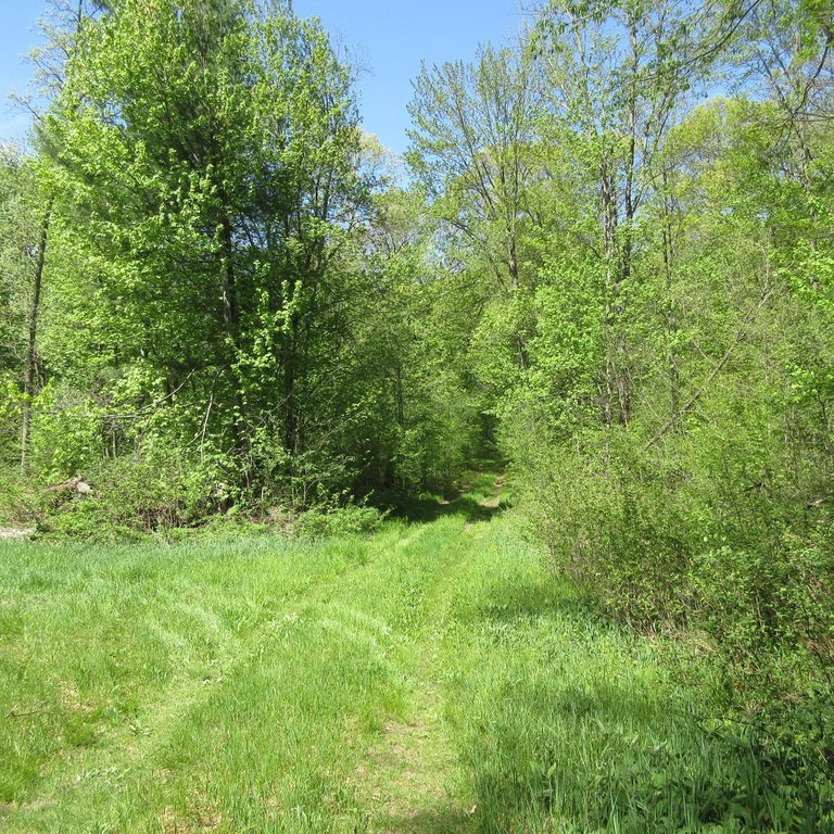 Picture 4