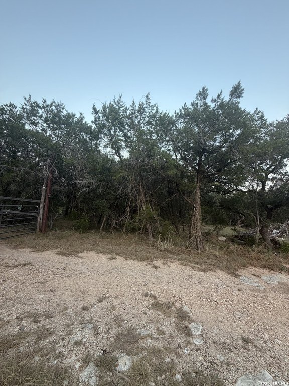 Picture 16