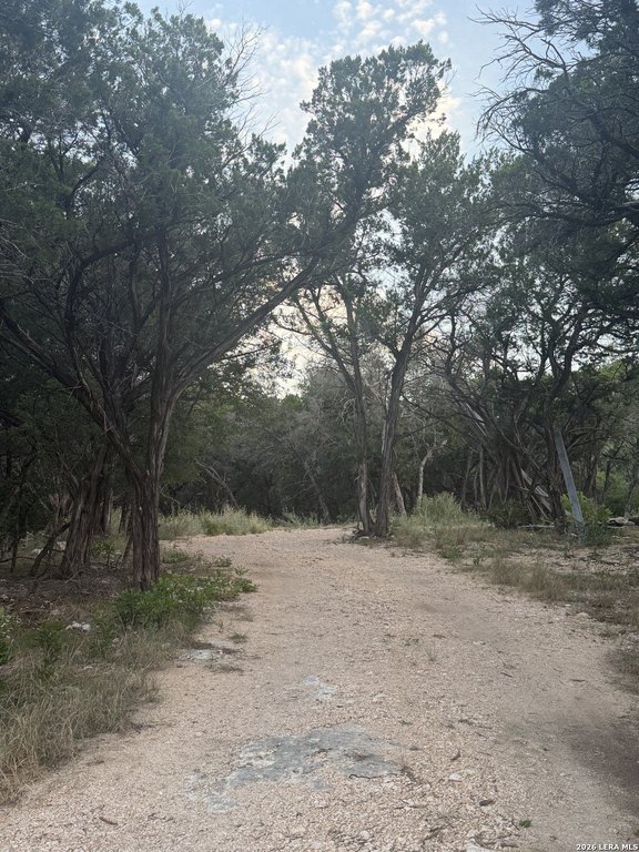 Picture 8