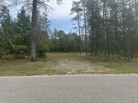 Land Parcel in Idlewild, MI