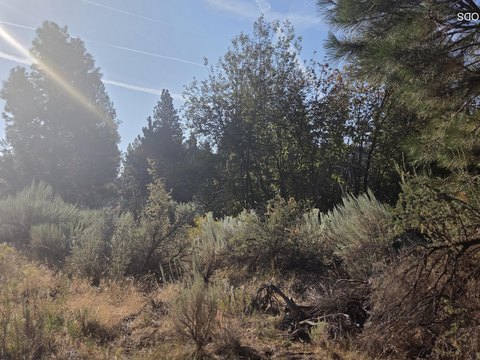 Land, Chiloquin, OR