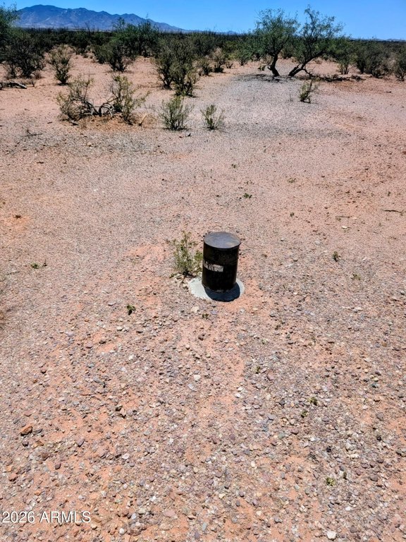 Picture 5