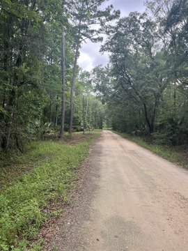 LAND - Crawfordville, FL