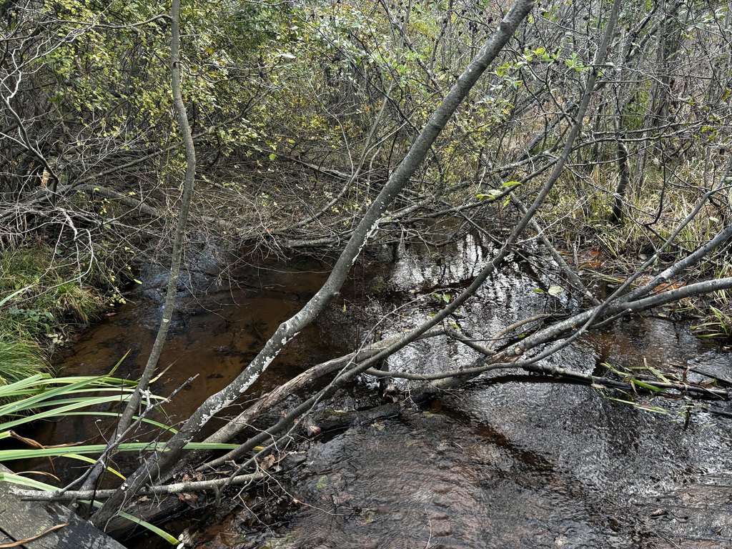 Picture 13