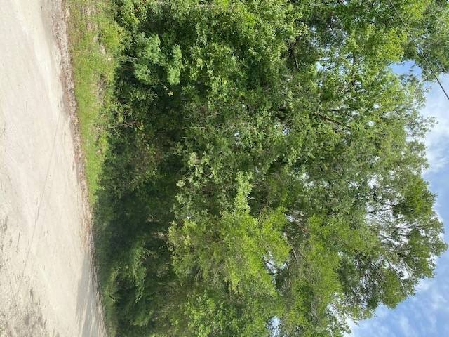 Picture 3