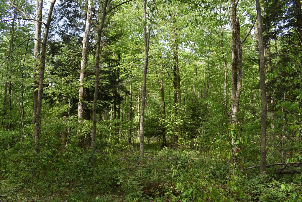Picture 6