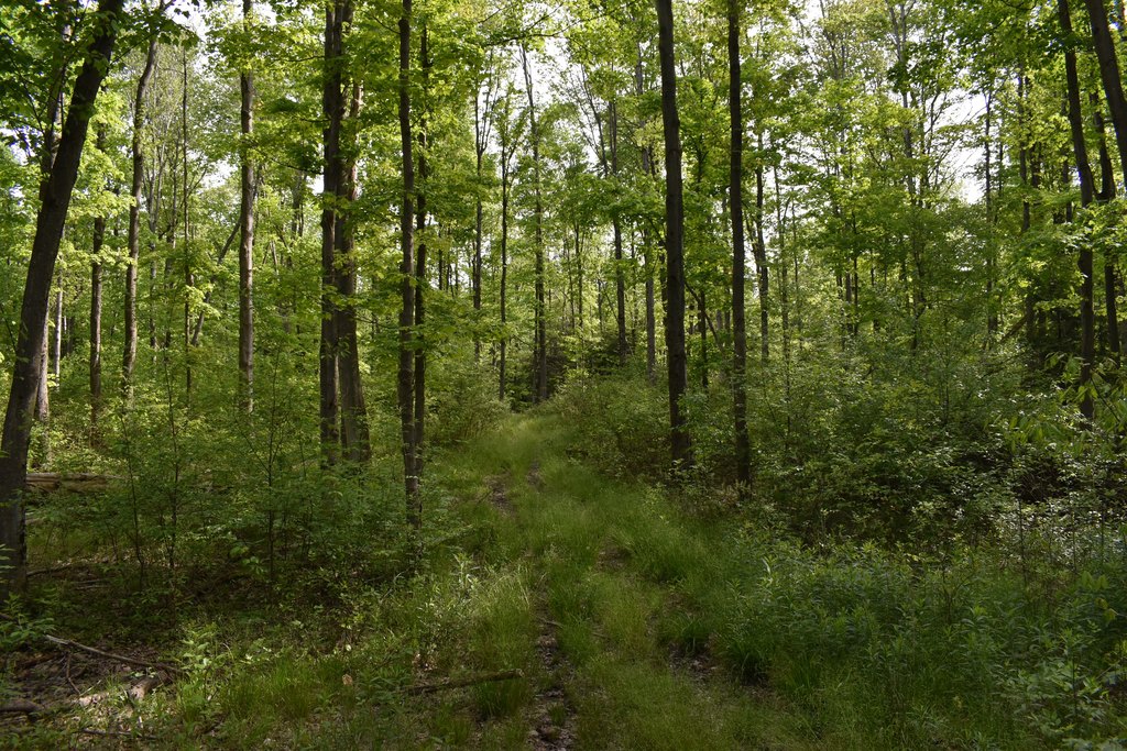 Picture 22