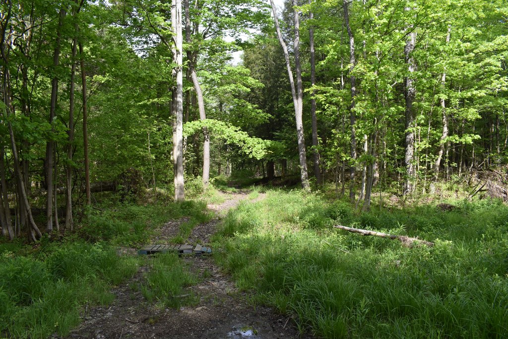 Picture 23