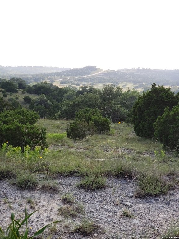 Picture 25