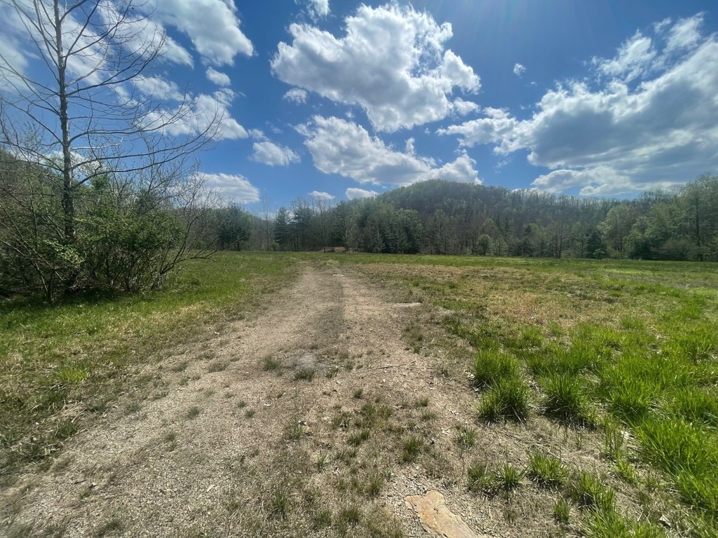 Picture 16