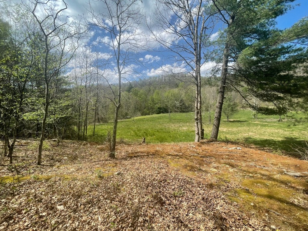 Picture 15