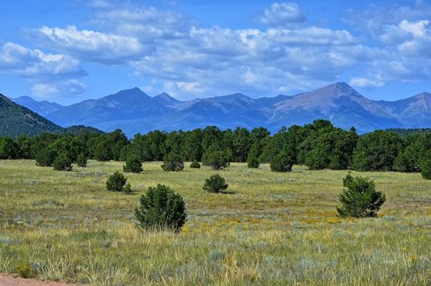 Flat Land Parcel in Cotopaxi