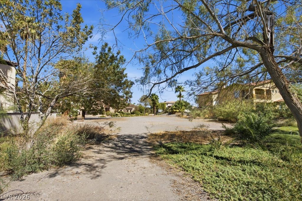Picture 20