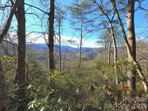 LAND - Canton, NC