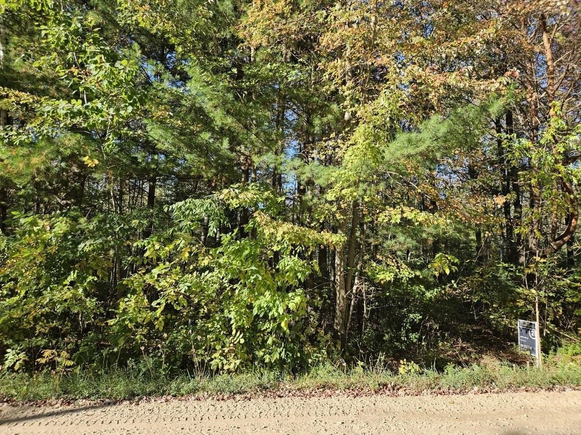 Land Near Wixom Lake