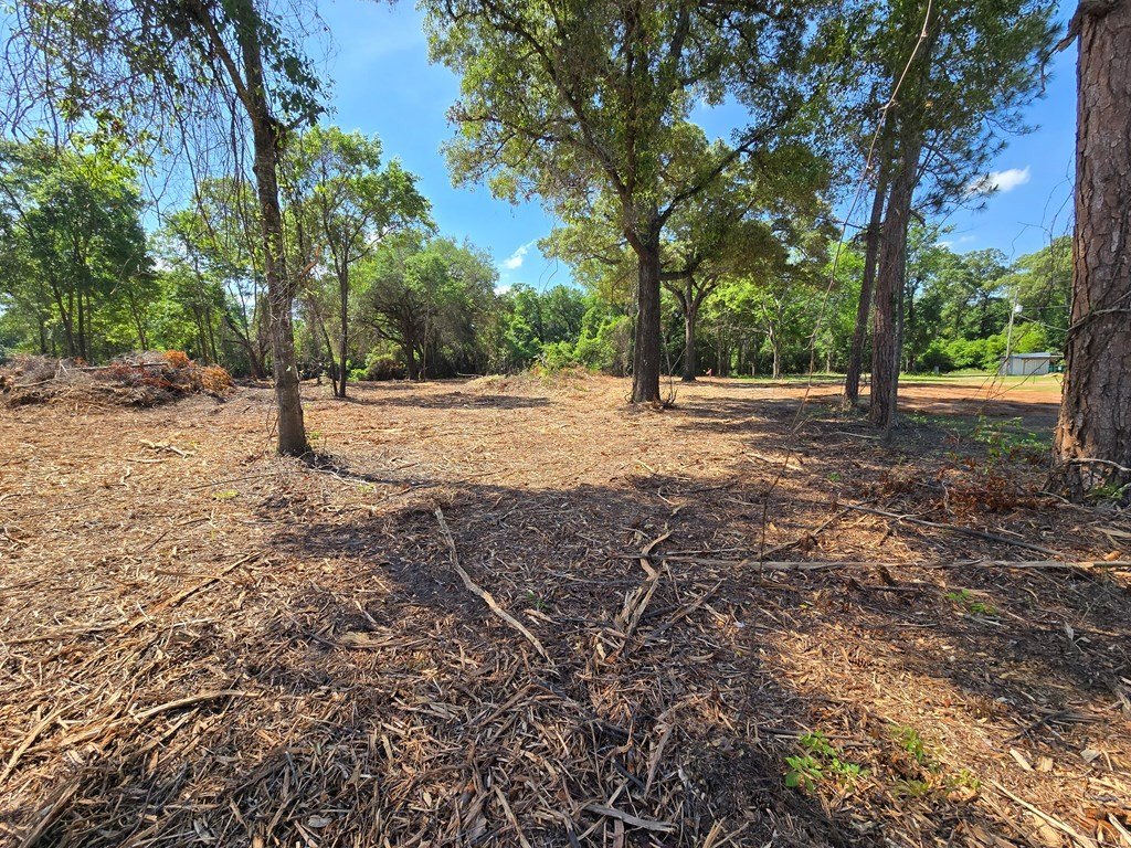 Picture 2