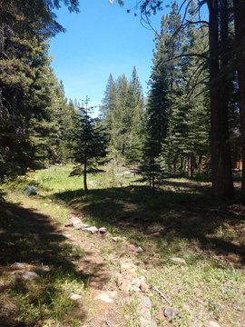 Truckee Land with Development Potential