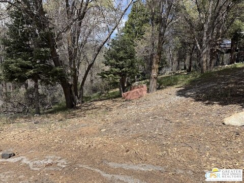 Land, Angelus Oaks, CA