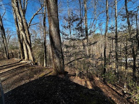 Whittier, NC Wooded Lot