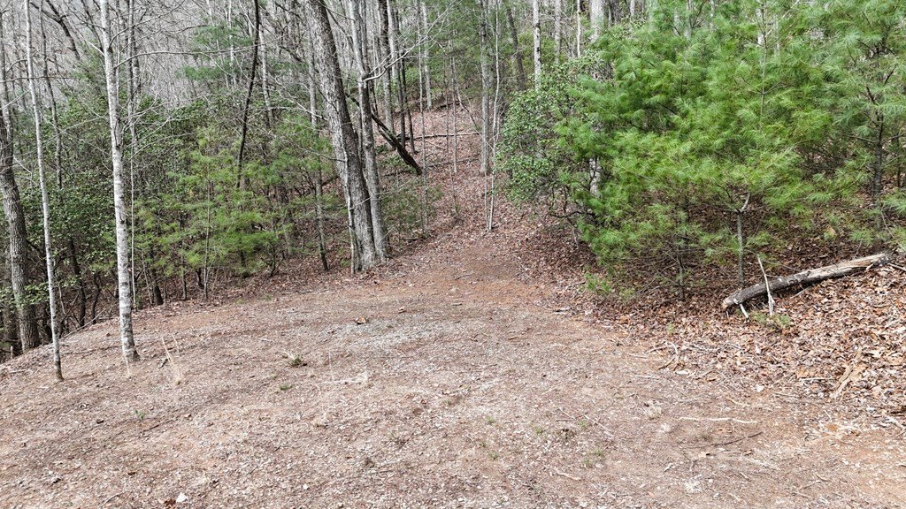 Picture 25