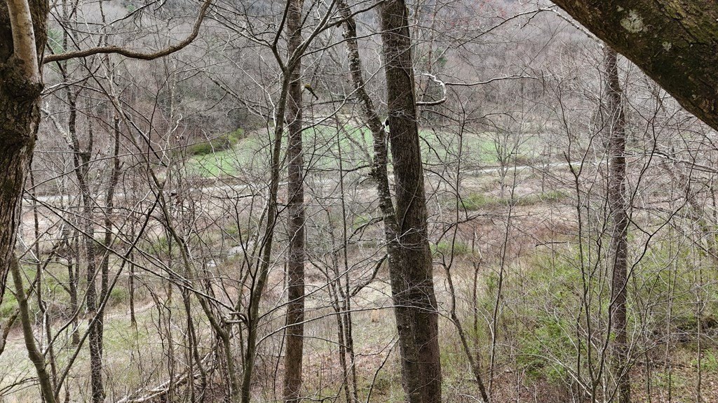 Picture 51