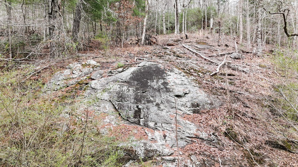 Picture 41